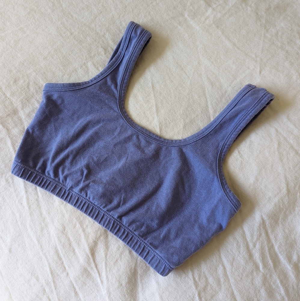 ARQ periwinkle bra